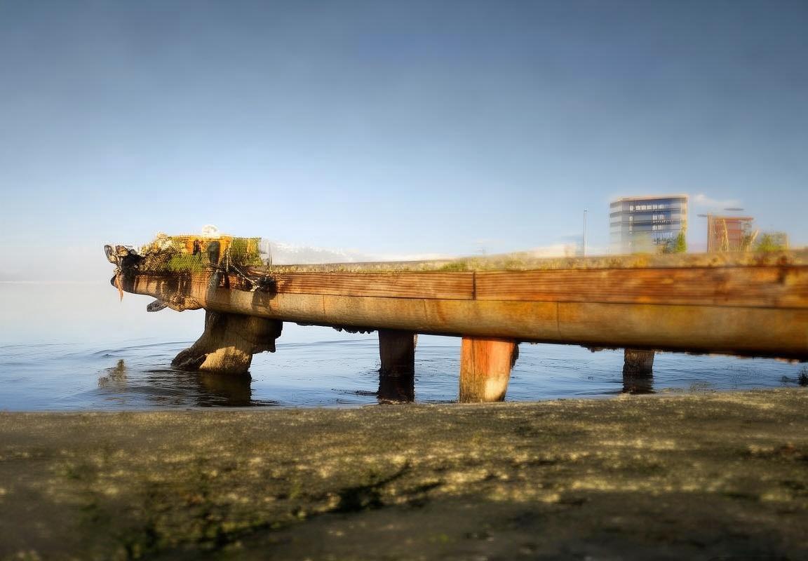 2020火箭VS国王：巅峰对决精彩瞬间回顾与战术解析(图3)